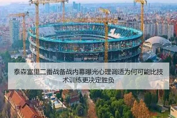 泰森富里二番战备战内幕曝光心理调适为何可能比技术训练更决定胜负